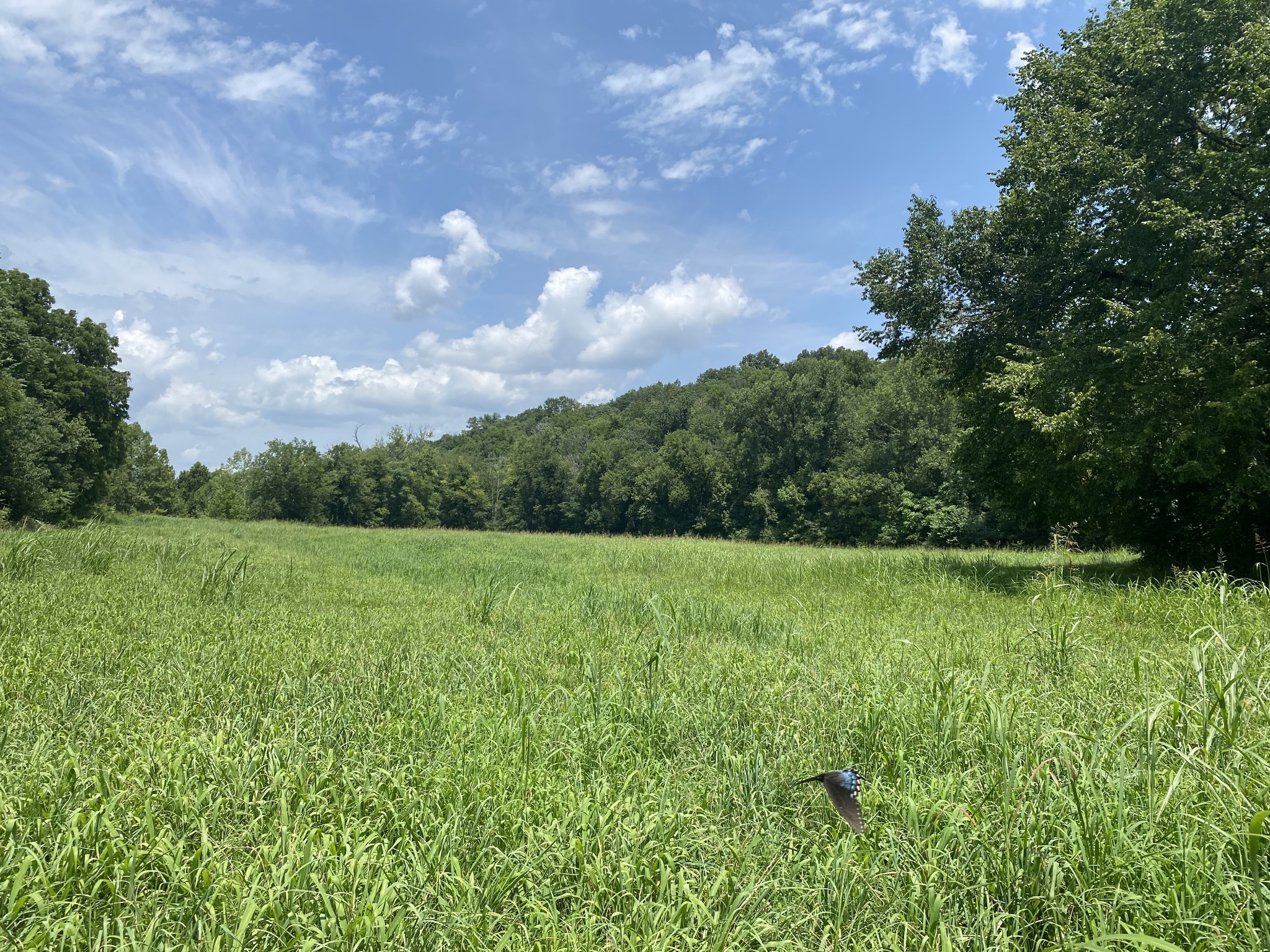 0 Smith Fork Road Liberty TN 37095