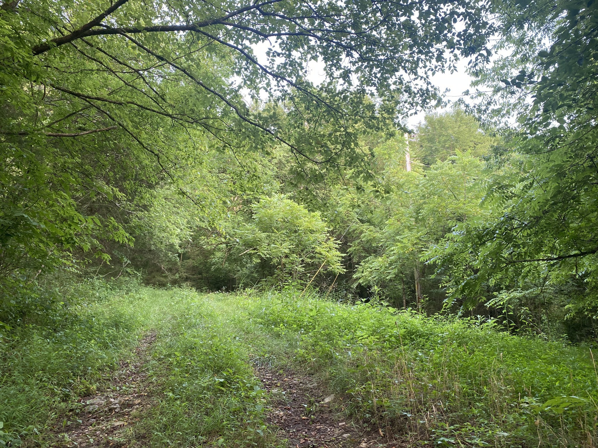 0 Smith Fork Road Liberty TN 37095