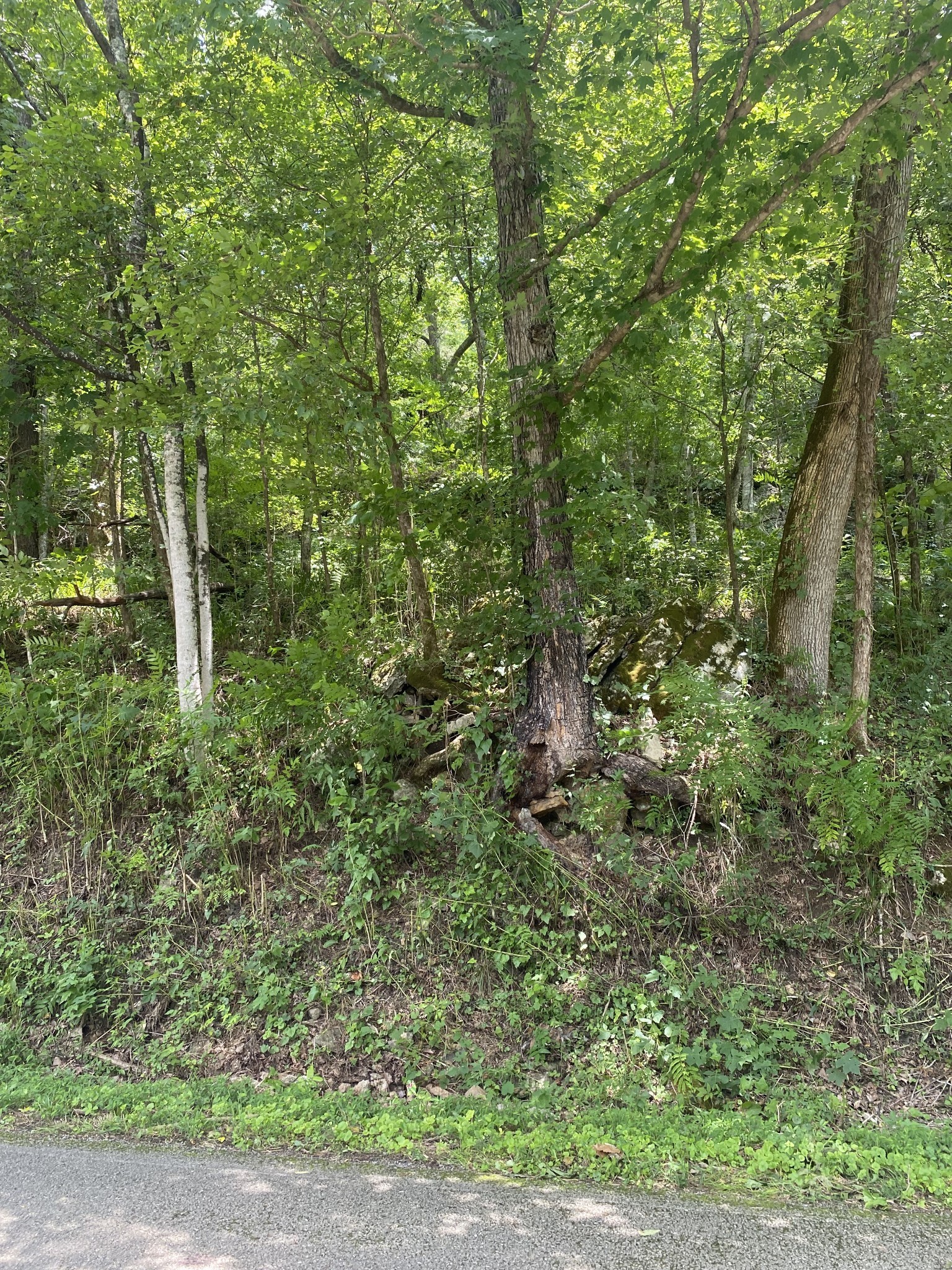 0 Smith Fork Road Liberty TN 37095