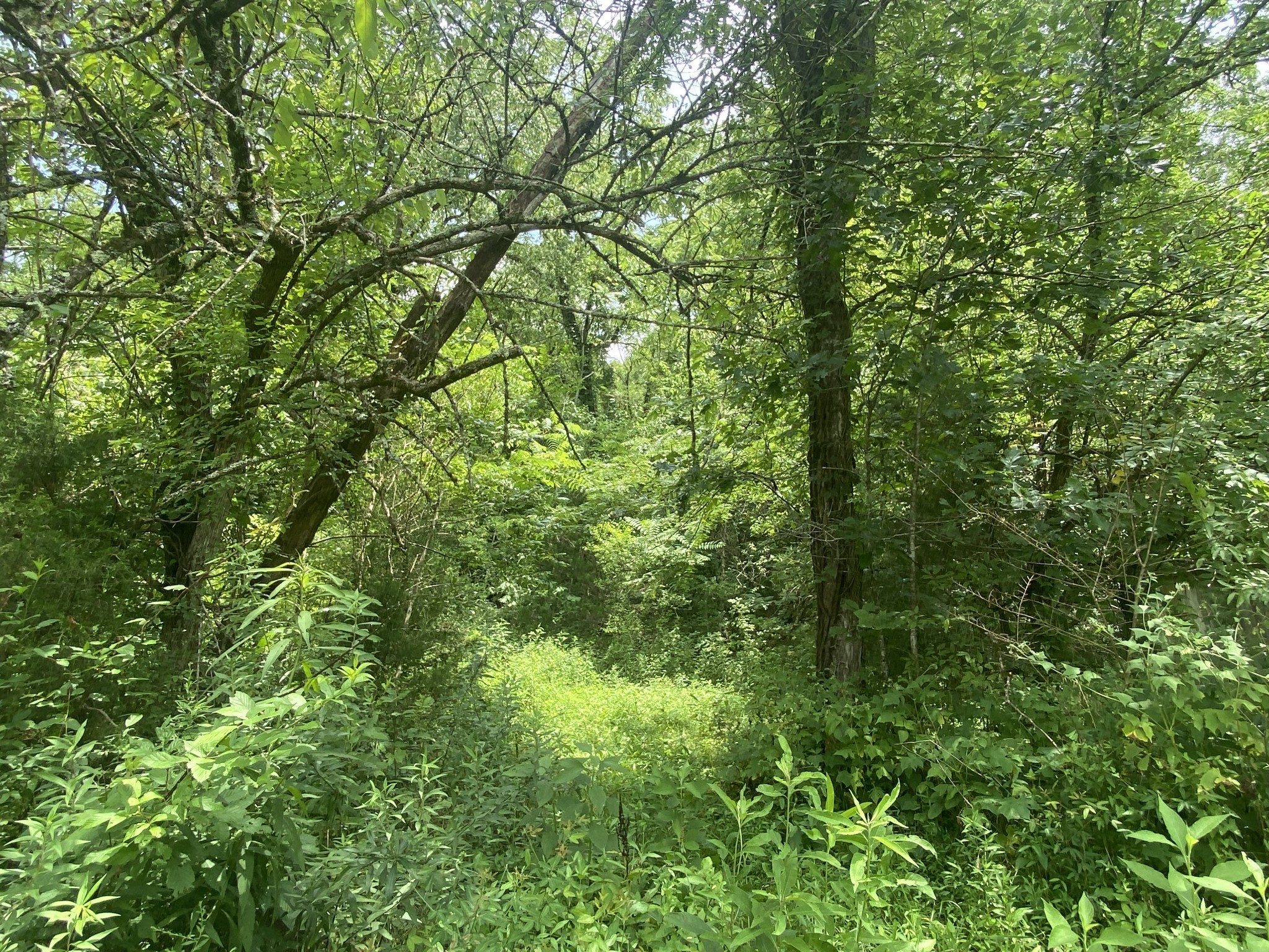 0 Smith Fork Road Liberty TN 37095