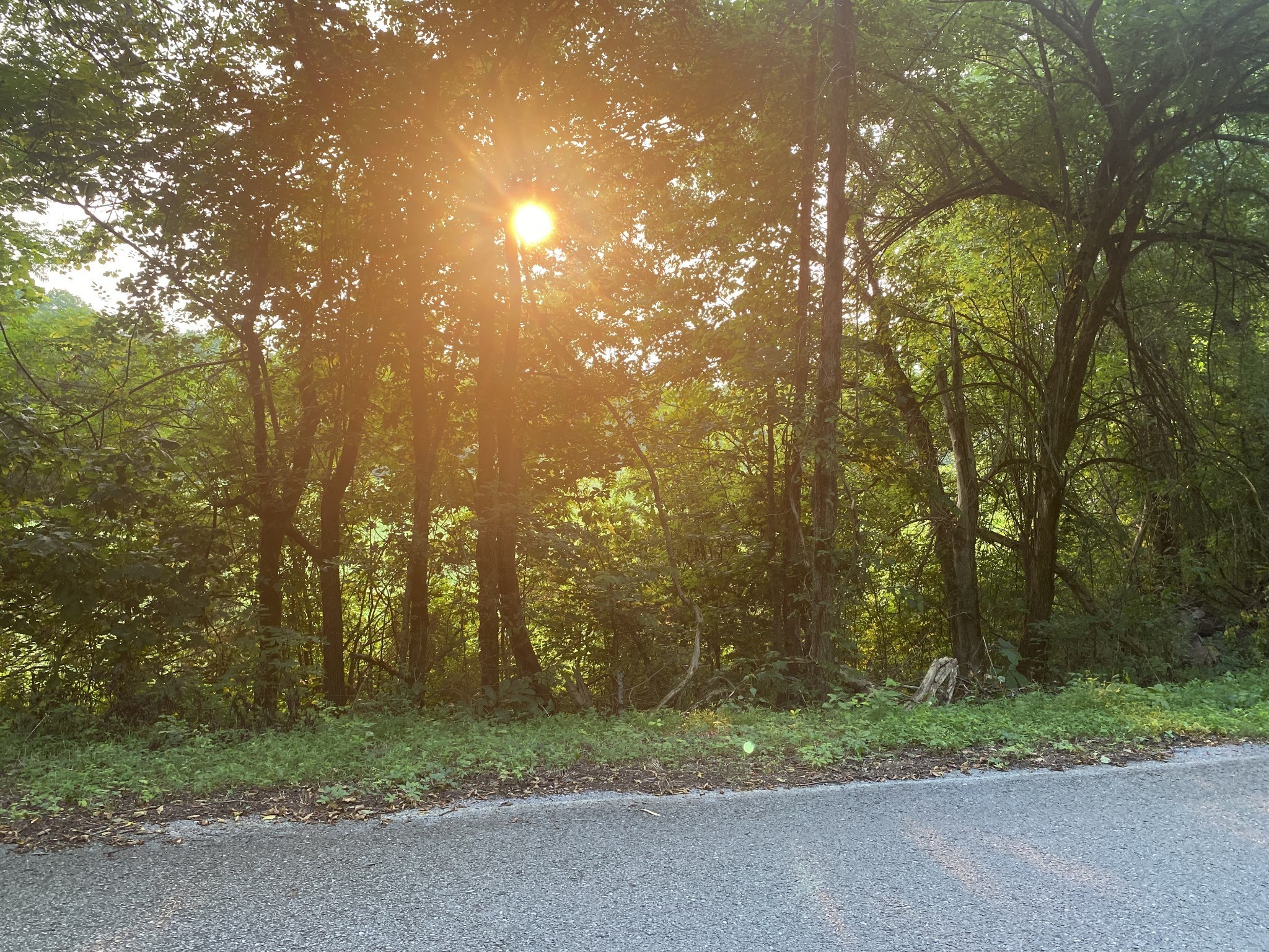0 Smith Fork Road Liberty TN 37095