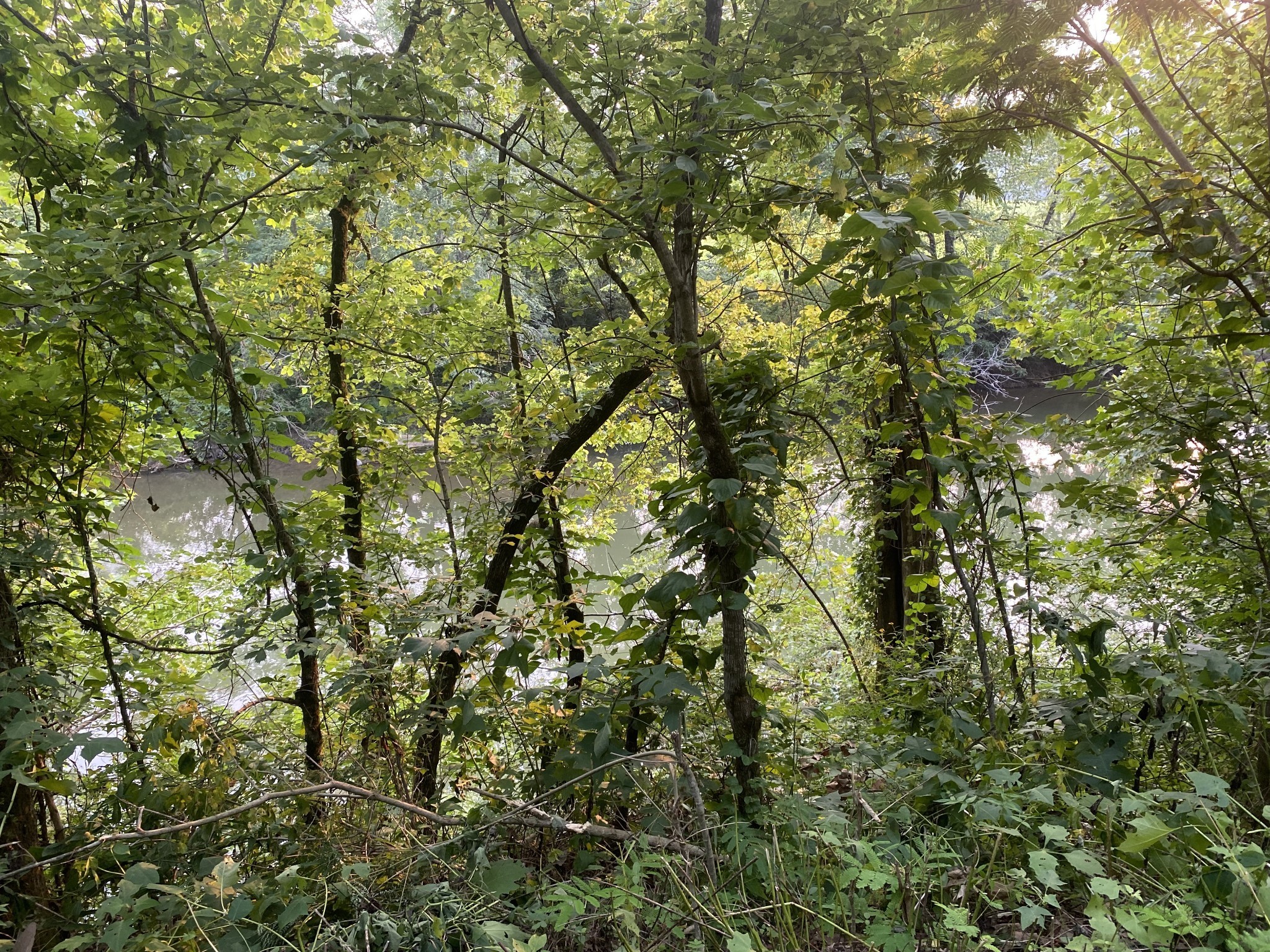 0 Smith Fork Road Liberty TN 37095