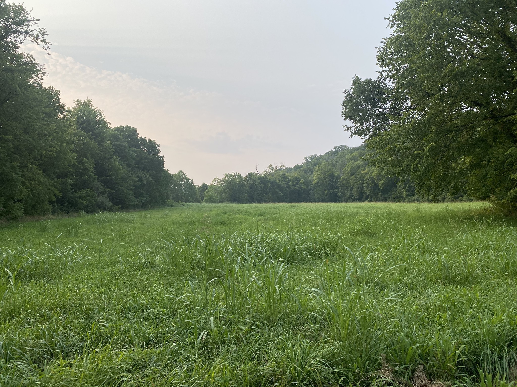 0 Smith Fork Road Liberty TN 37095