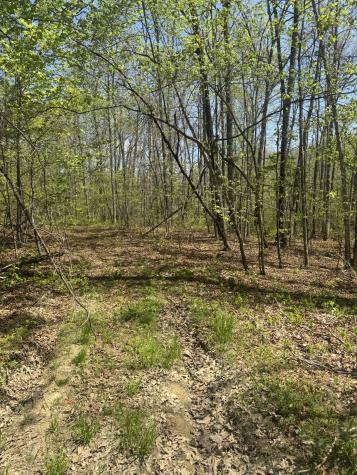 0 Doe Creek Lake Drive Sparta TN 38583