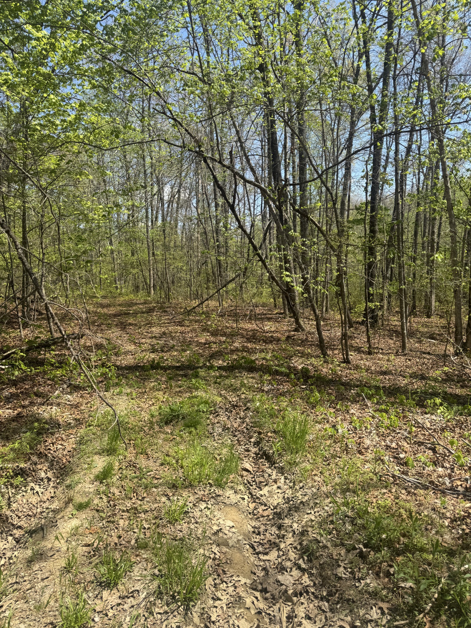 0 Doe Creek Lake Drive Sparta TN 38583