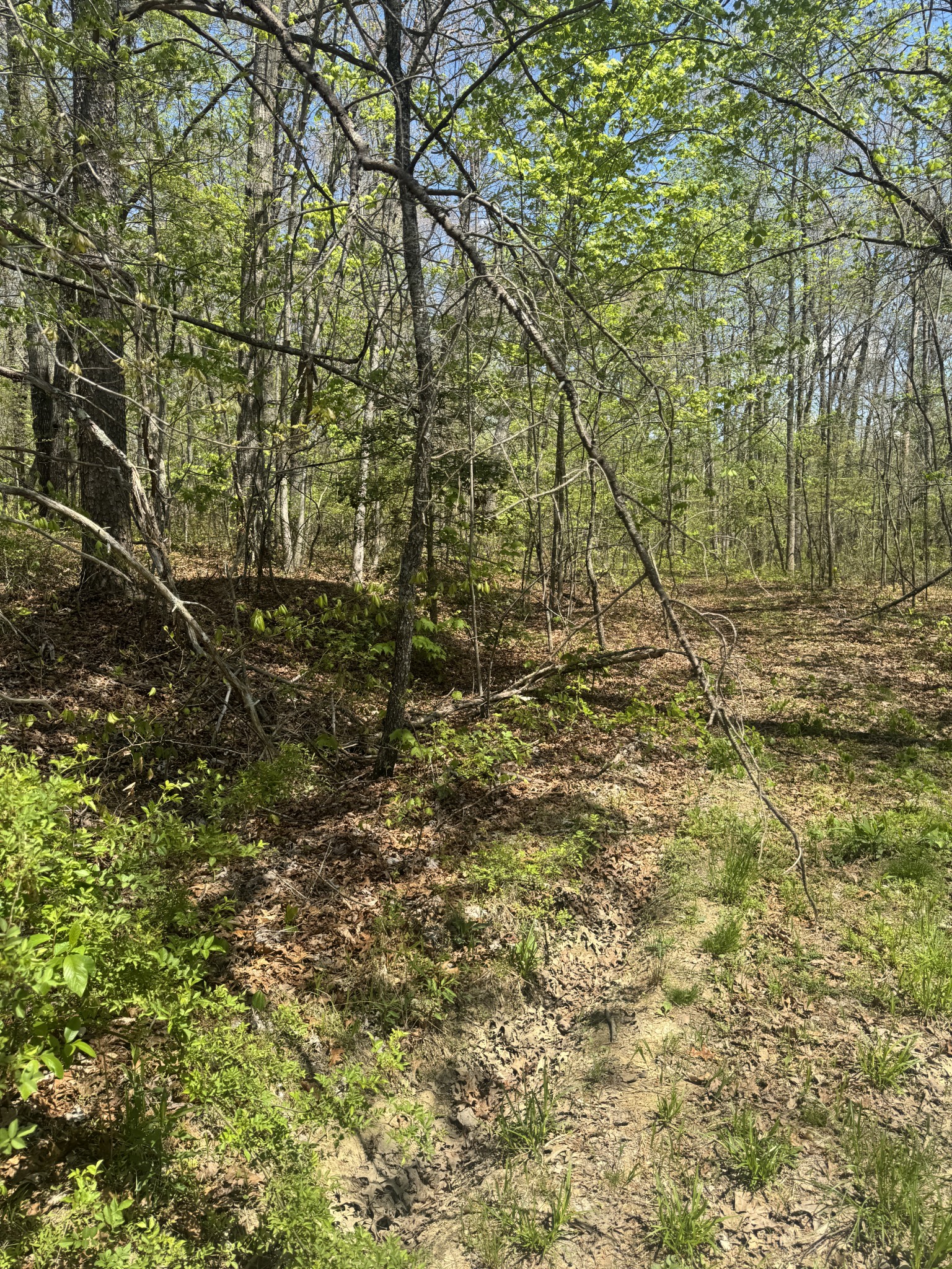 0 Doe Creek Lake Drive Sparta TN 38583