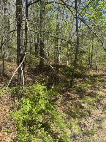 0 Doe Creek Lake Drive Sparta TN 38583
