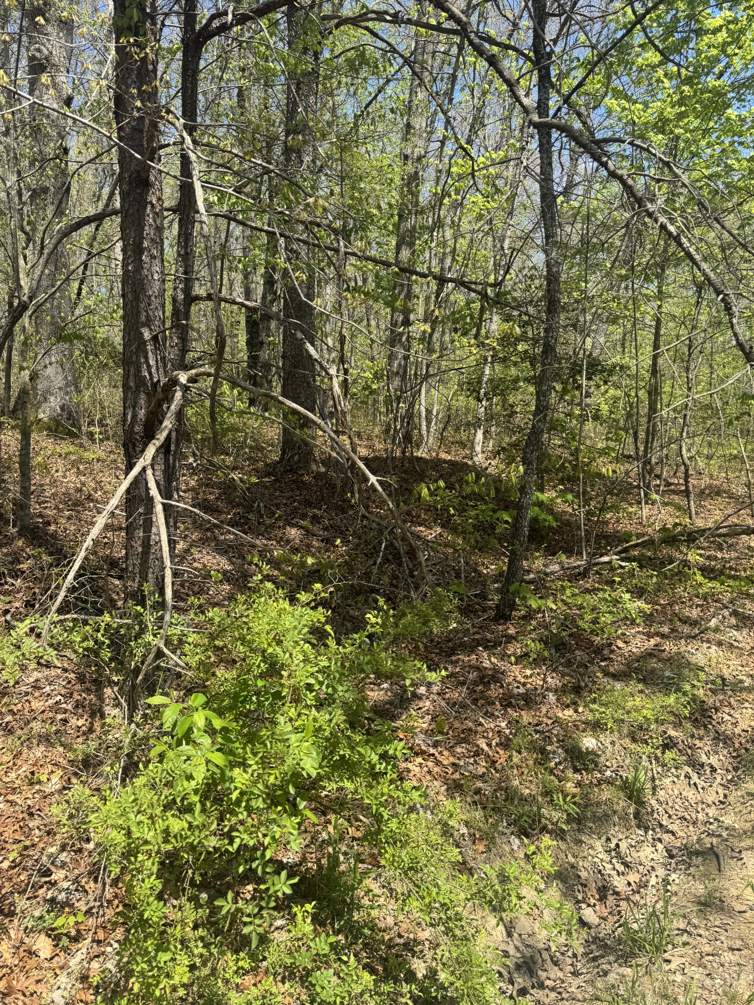 0 Doe Creek Lake Drive Sparta TN 38583