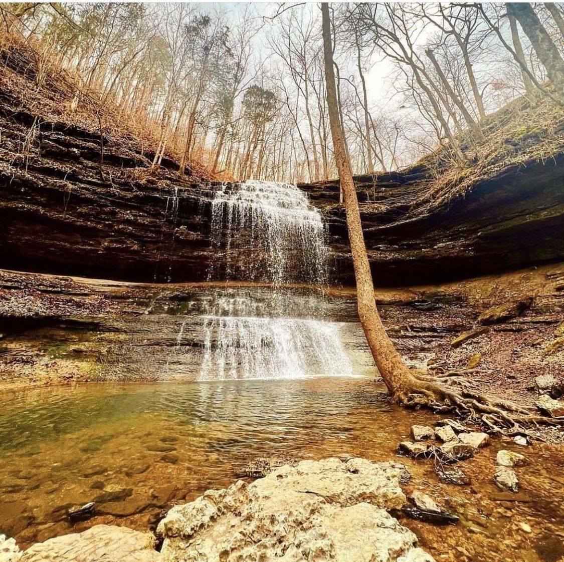 2128 Cheltenham Place Columbia TN 38401