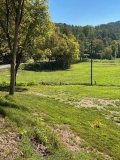 61 Chestnut Valley Road Vonore TN 37885