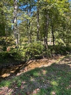 61 Chestnut Valley Road Vonore TN 37885