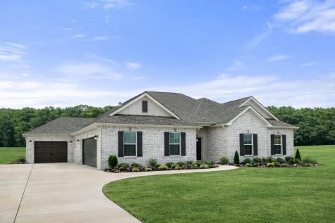 8802 Turnbull Drive Pleasant View TN 37146