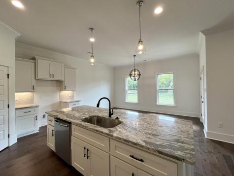 8802 Turnbull Drive Pleasant View TN 37146