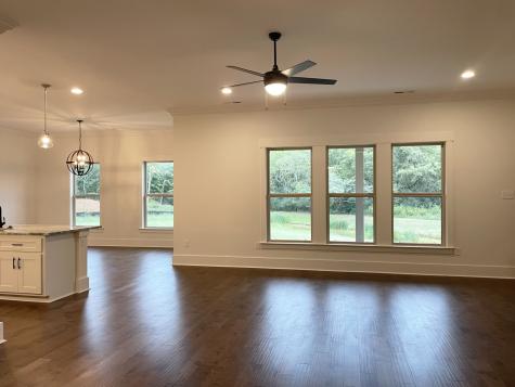 8802 Turnbull Drive Pleasant View TN 37146