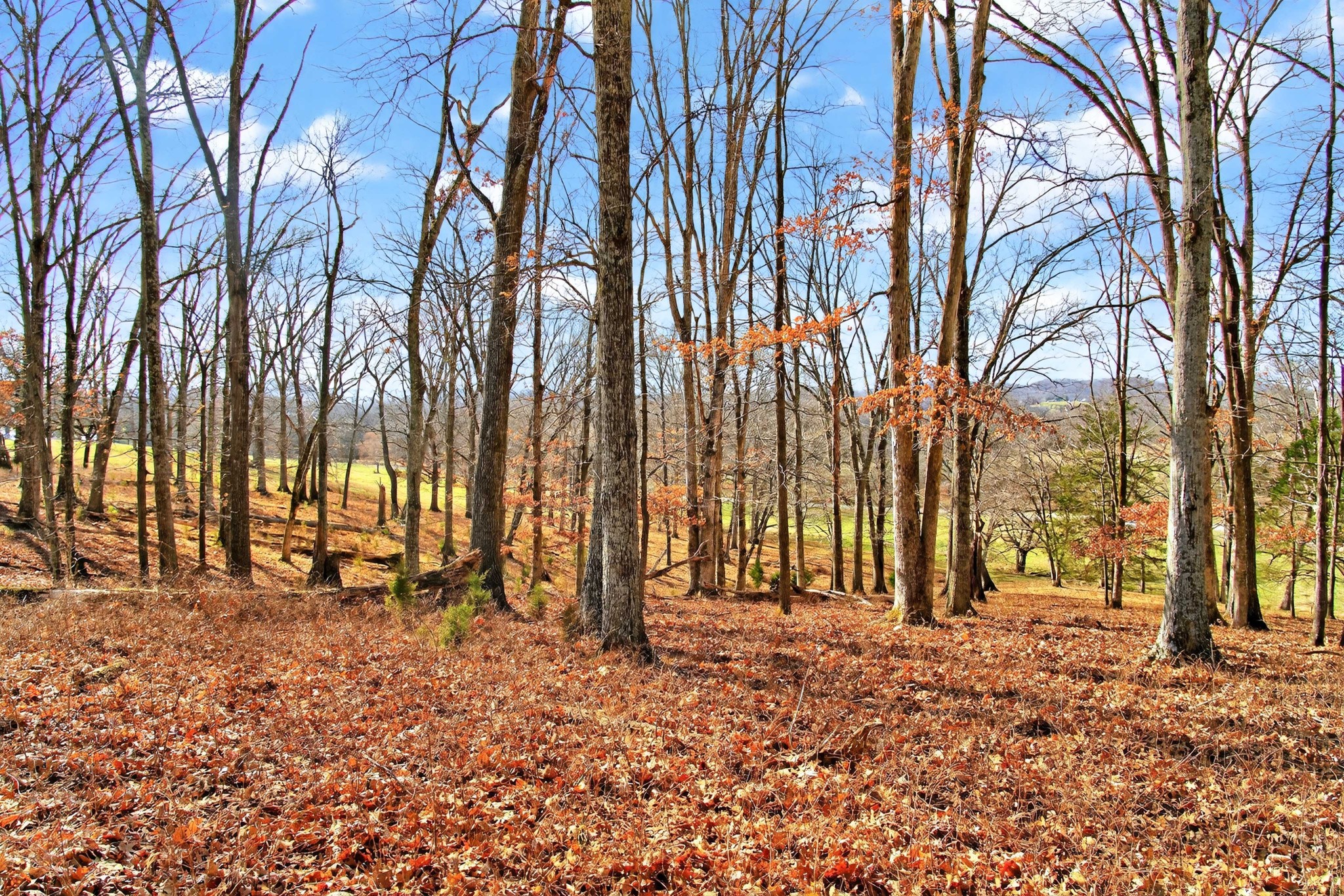 7 Collier Lane Gallatin TN 37066