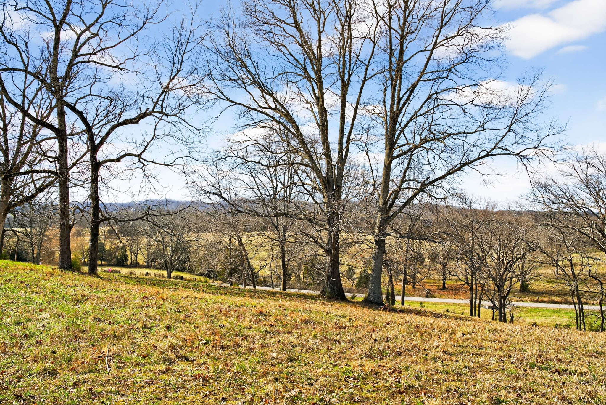 7 Collier Lane Gallatin TN 37066