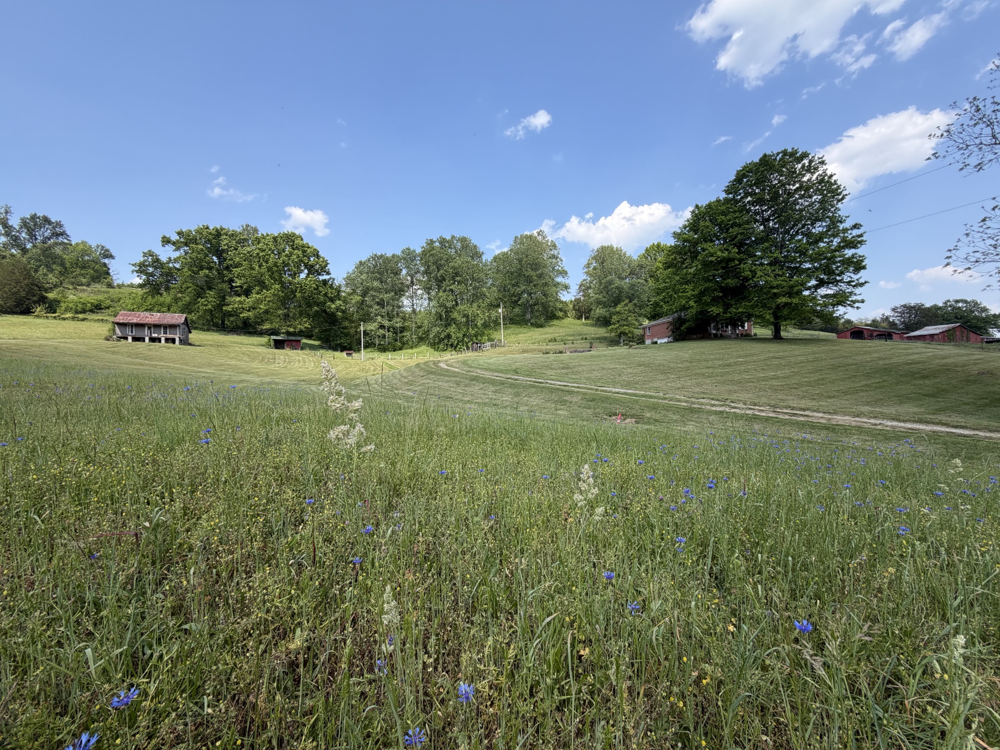 5170 Steam Mill Hollow Road Williamsport TN 38487