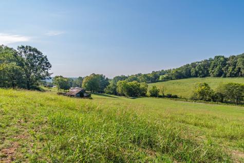 5170 Steam Mill Hollow Road Williamsport TN 38487