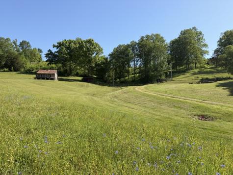 5170 Steam Mill Hollow Road Williamsport TN 38487