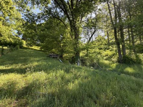 5170 Steam Mill Hollow Road Williamsport TN 38487