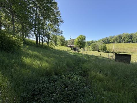 5170 Steam Mill Hollow Road Williamsport TN 38487