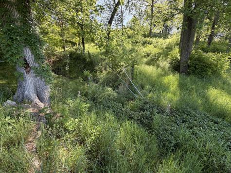 5170 Steam Mill Hollow Road Williamsport TN 38487