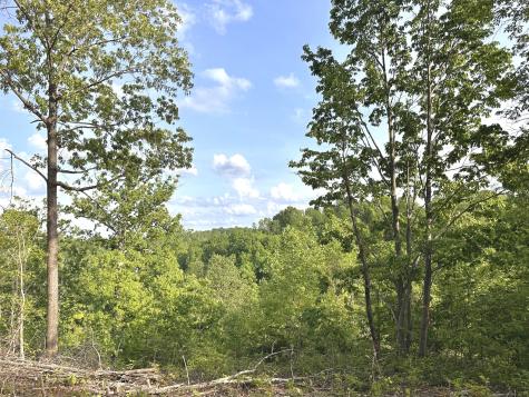 0 Nora Lane Pegram TN 37143