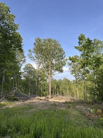 0 Nora Lane Pegram TN 37143