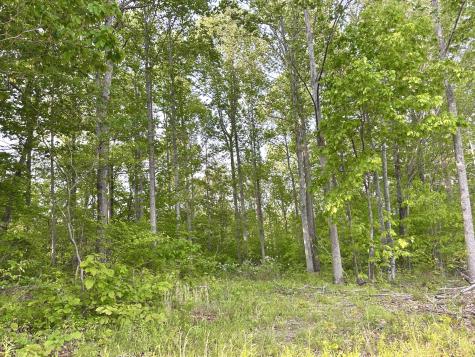 0 Nora Lane Pegram TN 37143