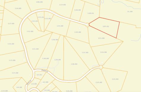 0 Nora Lane Pegram TN 37143