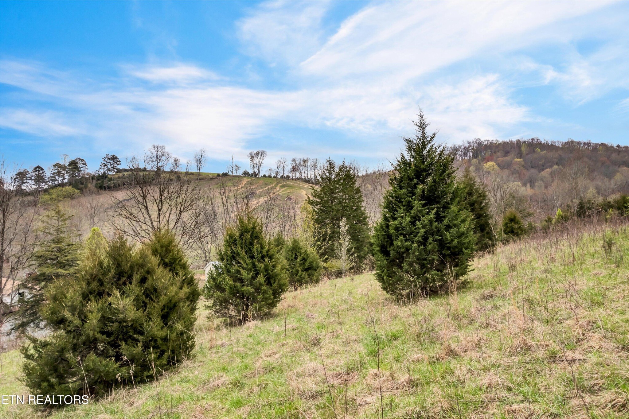 290 Maddox Lane New Tazewell TN 37825