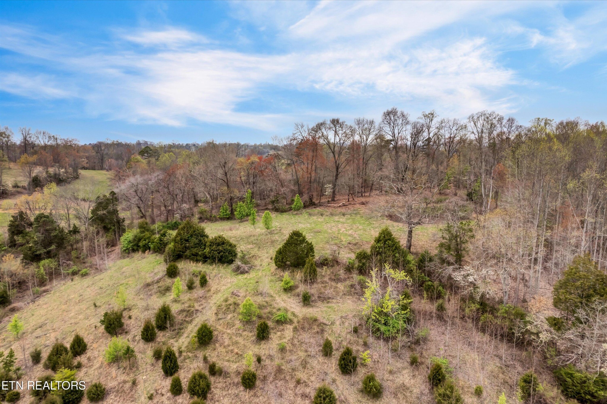 290 Maddox Lane New Tazewell TN 37825