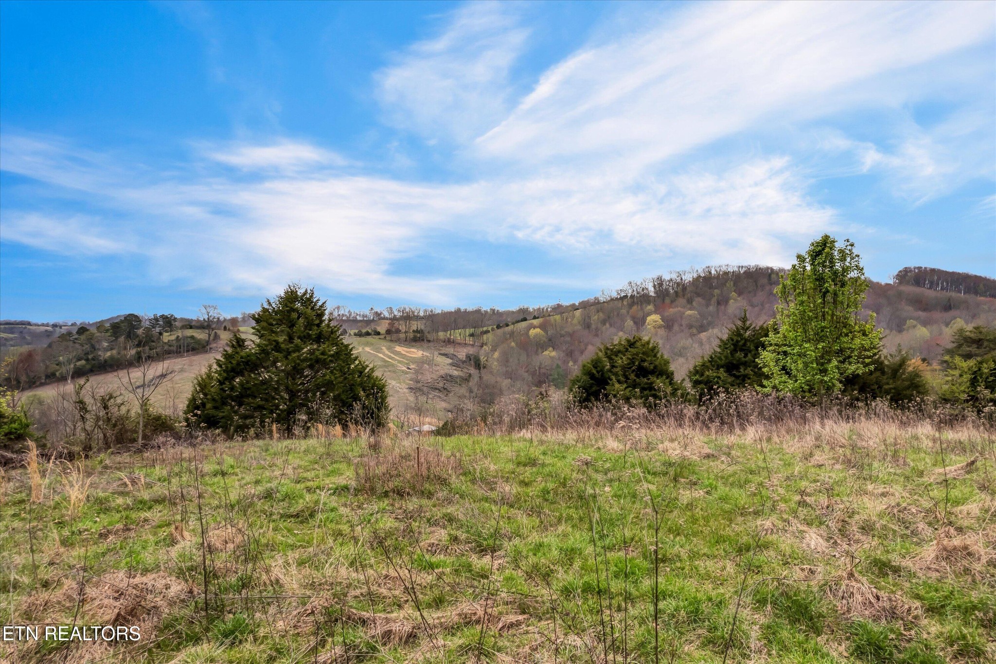 290 Maddox Lane New Tazewell TN 37825