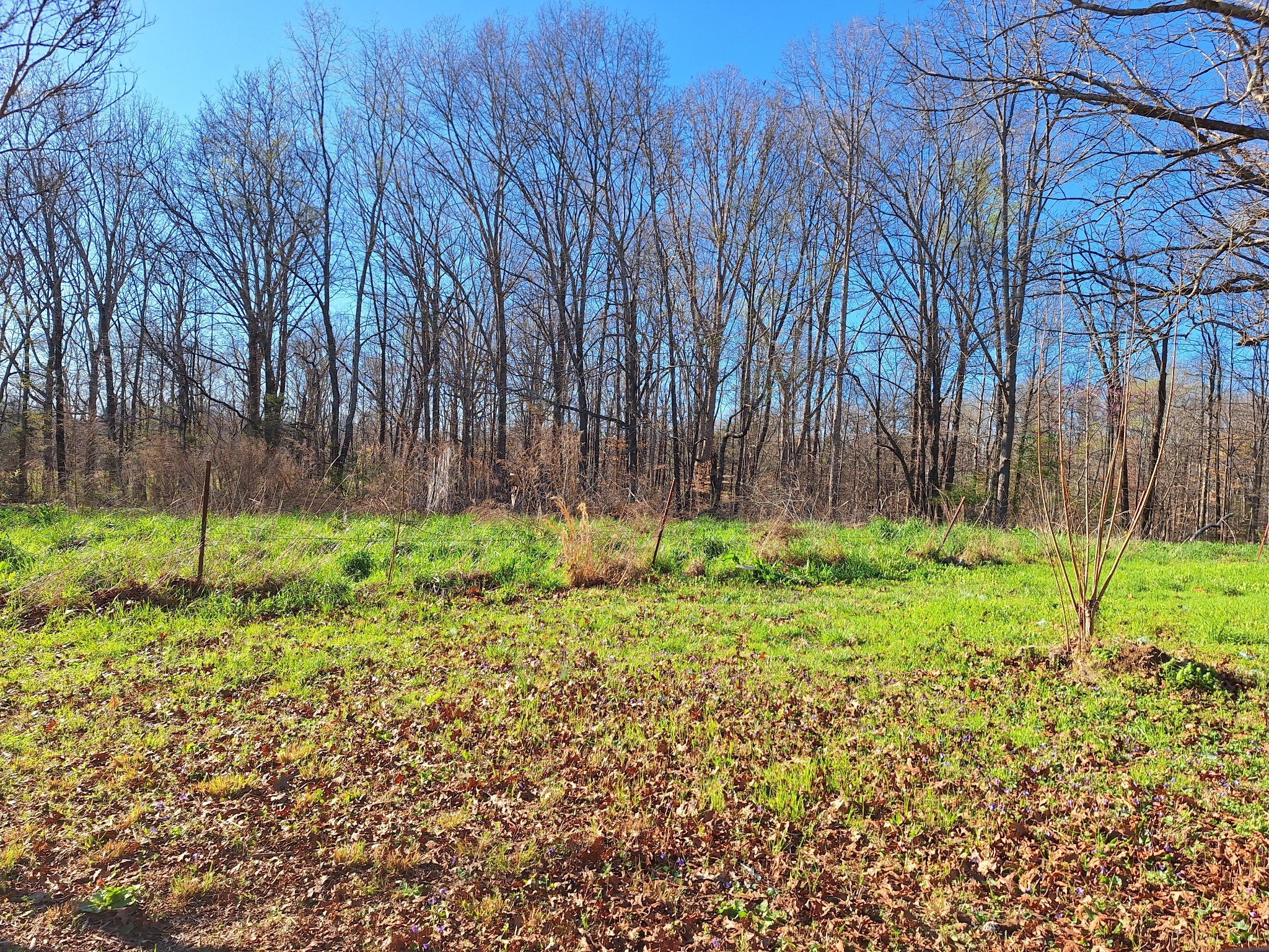 538 Mount Nebo Road Iron City TN 38463