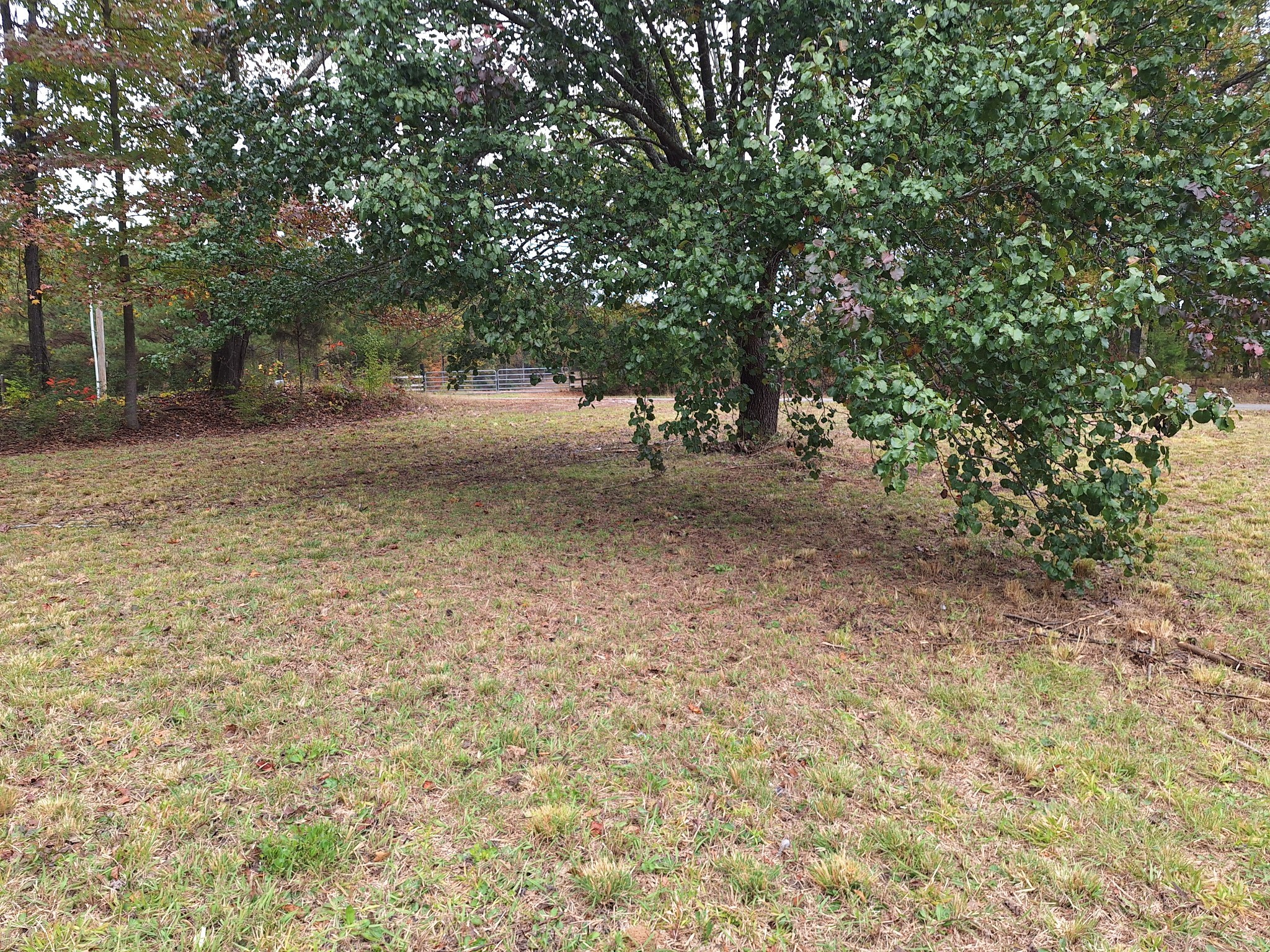 538 Mount Nebo Road Iron City TN 38463