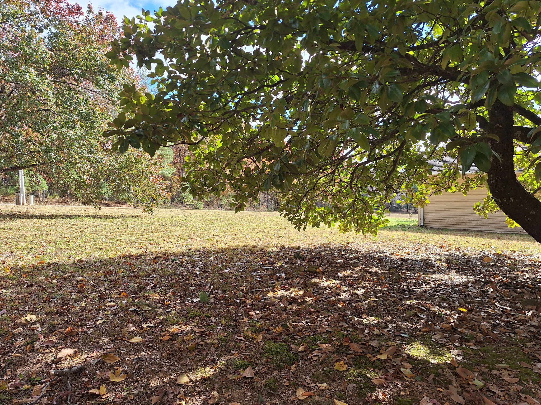 538 Mount Nebo Road Iron City TN 38463