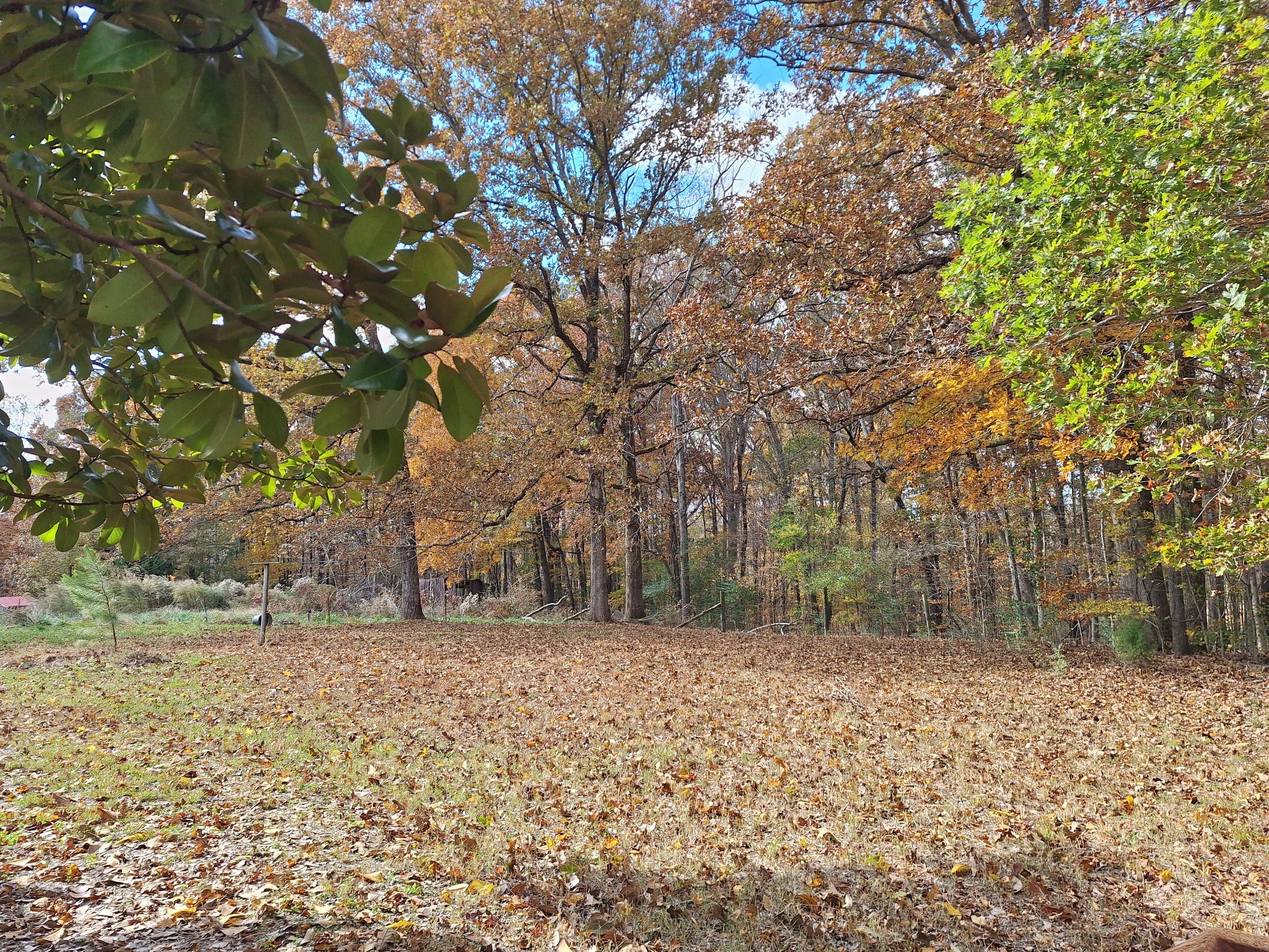 538 Mount Nebo Road Iron City TN 38463