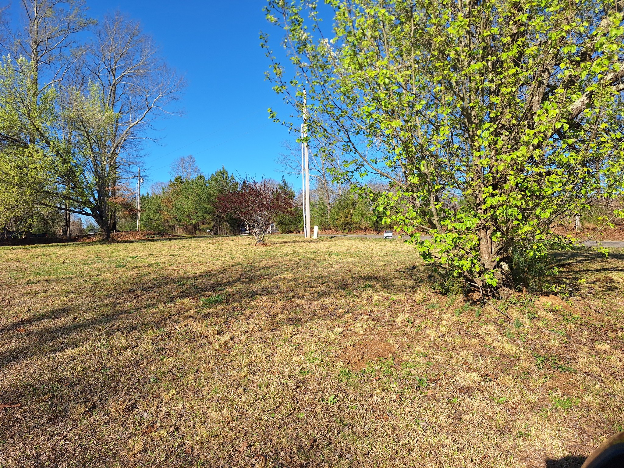 538 Mount Nebo Road Iron City TN 38463