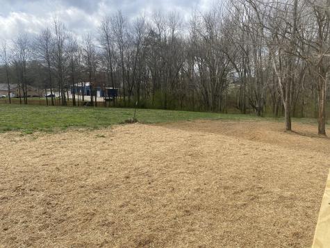 81 Lighthouse Drive Summertown TN 38483