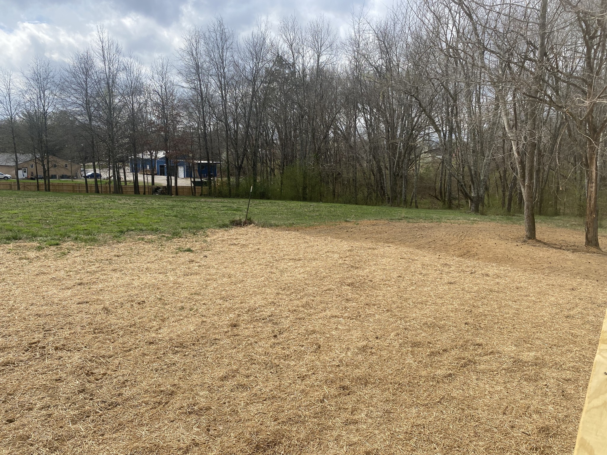 81 Lighthouse Drive Summertown TN 38483