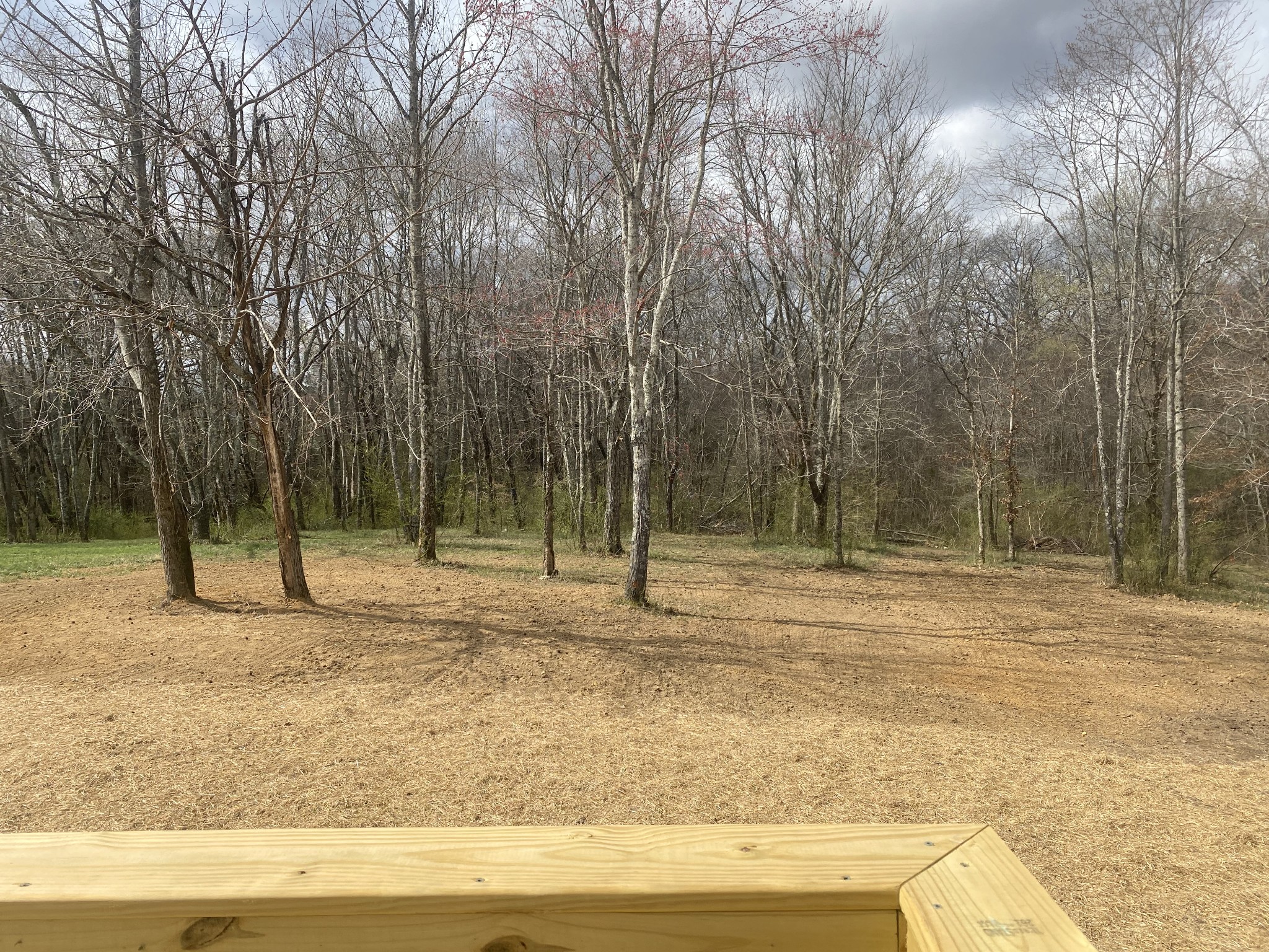 81 Lighthouse Drive Summertown TN 38483