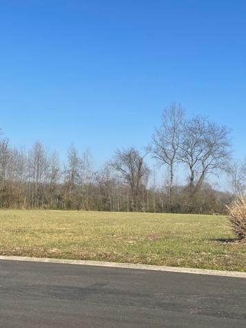 0 Hunters Landing Drive Manchester TN 37355