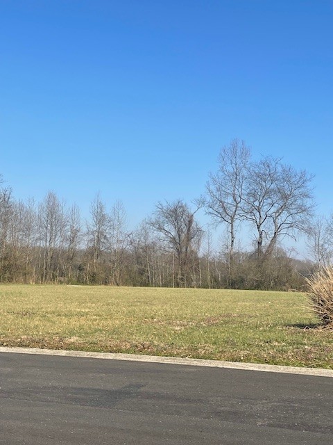 0 Hunters Landing Drive Manchester TN 37355