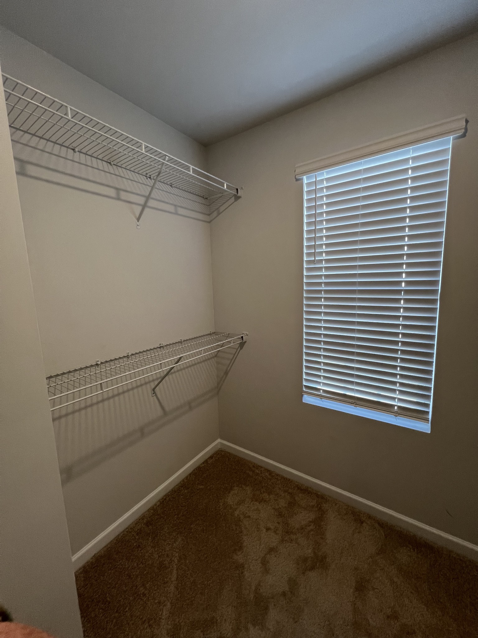 214 Warrior Place Ashland City TN 37015