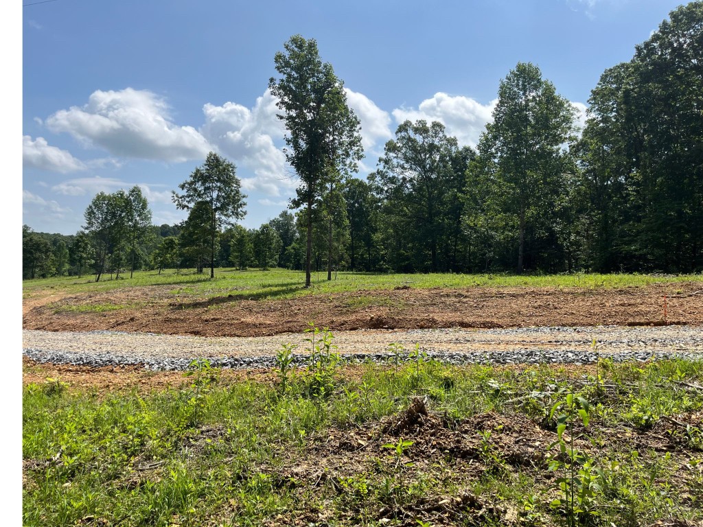 10898 Back Piney Road Bon Aqua TN 37025
