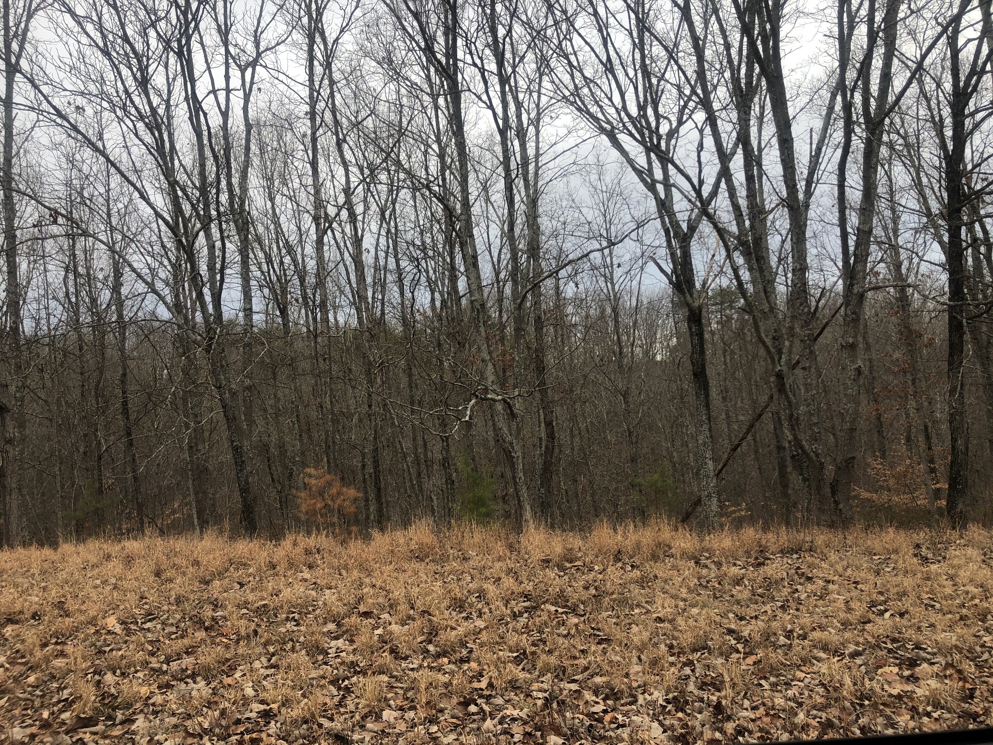 99 Deepwood Drive Waverly TN 37185