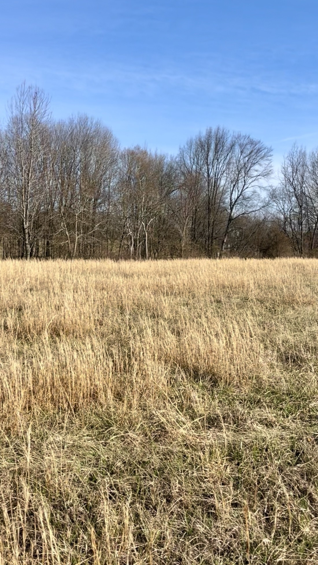 0 Thompson Lane Portland TN 37148