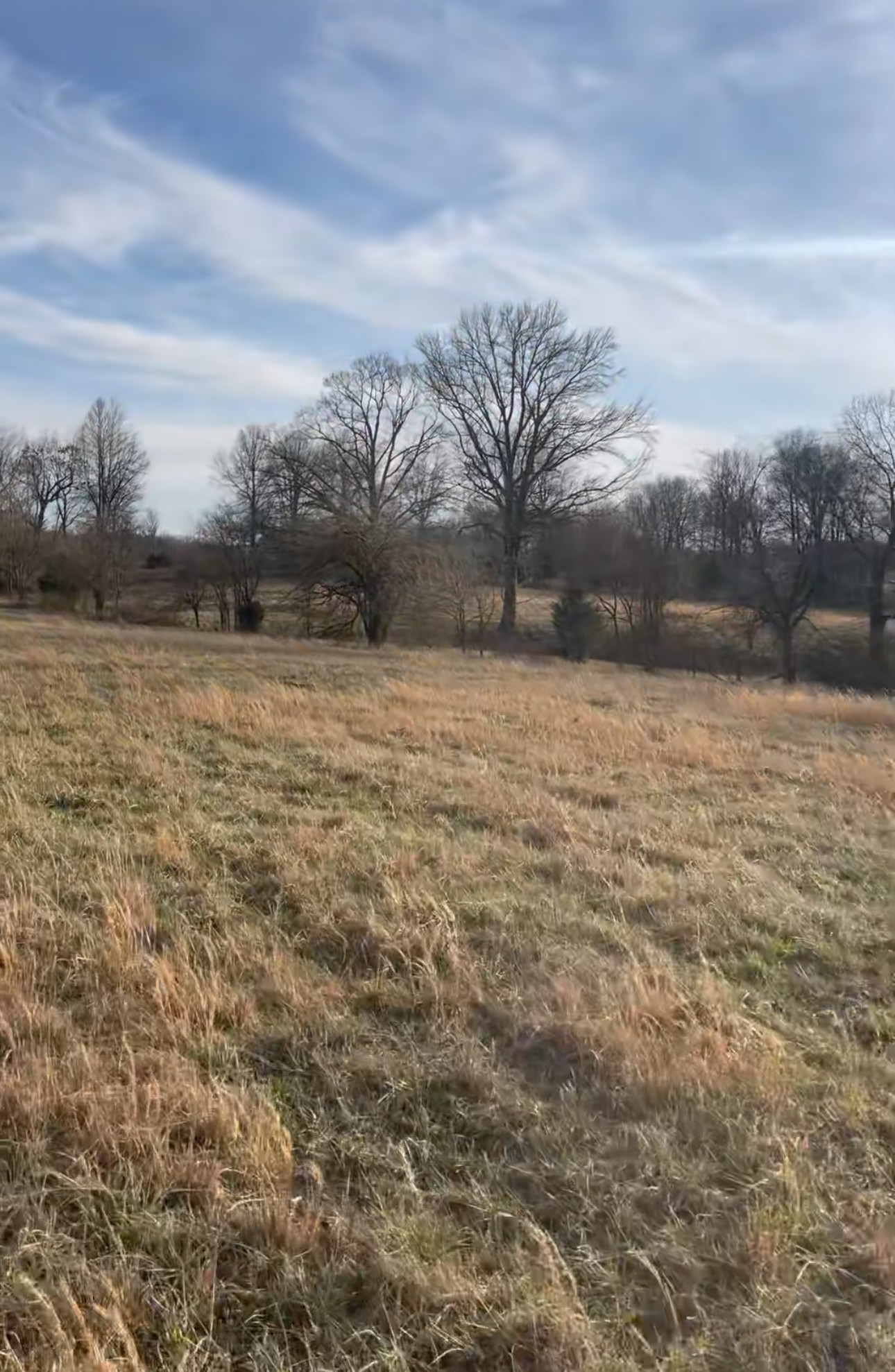 0 Thompson Lane Portland TN 37148