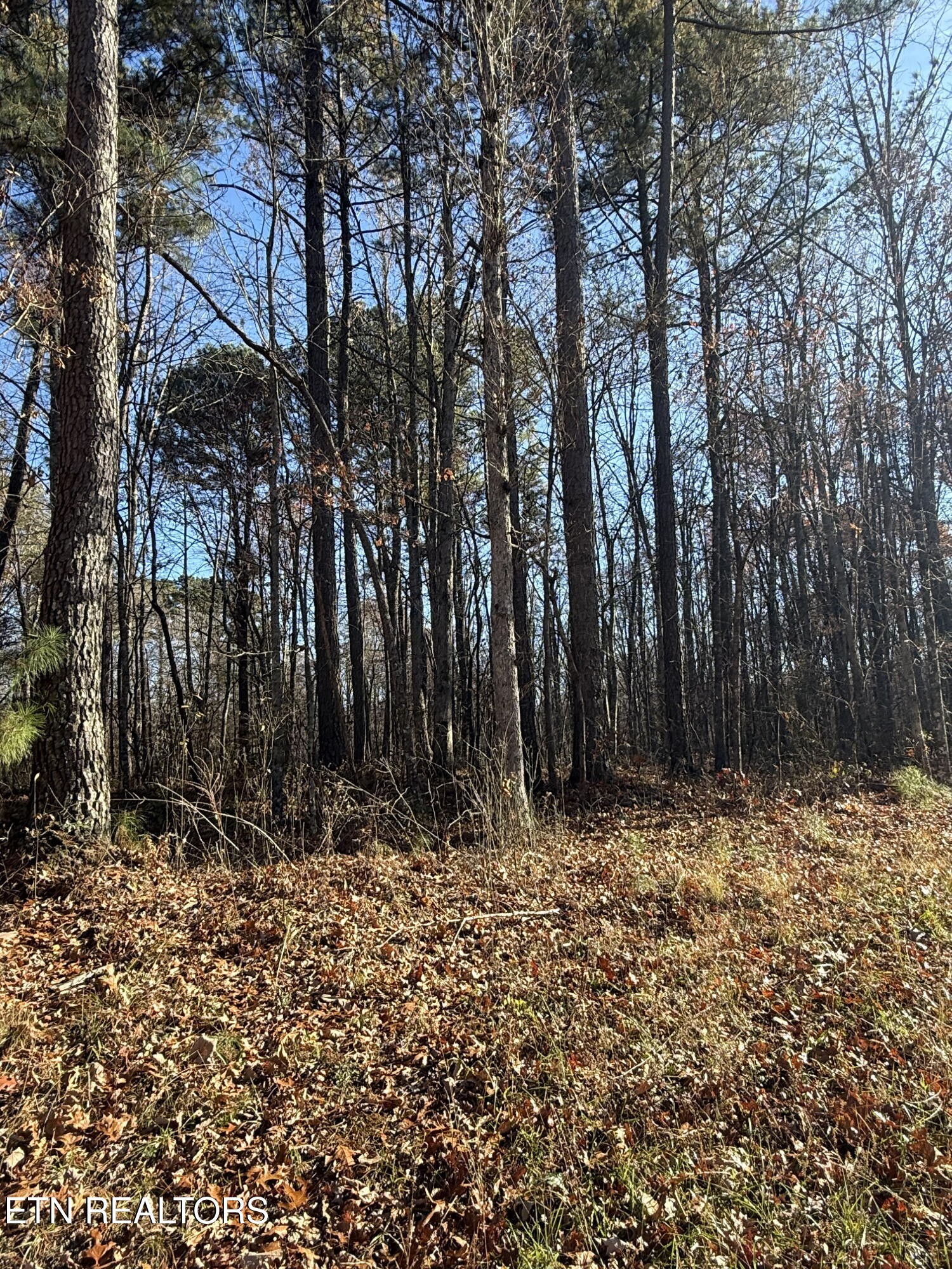 9 Highway 70 N Monterey TN 38574