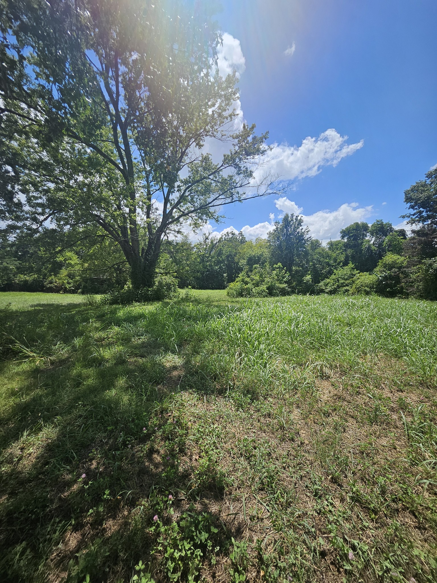 264 Joe B Jackson Parkway Murfreesboro TN 37127